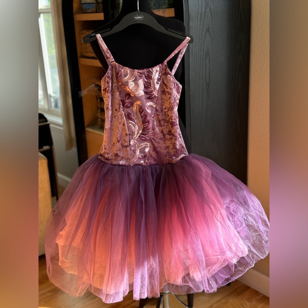 🏰 Pink and Purple Ballet Pointe Dance Costume Adult Medium or 🎀 Princess Dress - Picture 5 of 9